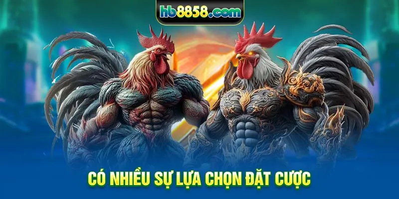 co-nhieu-su-lua-chon-dat-cuoc