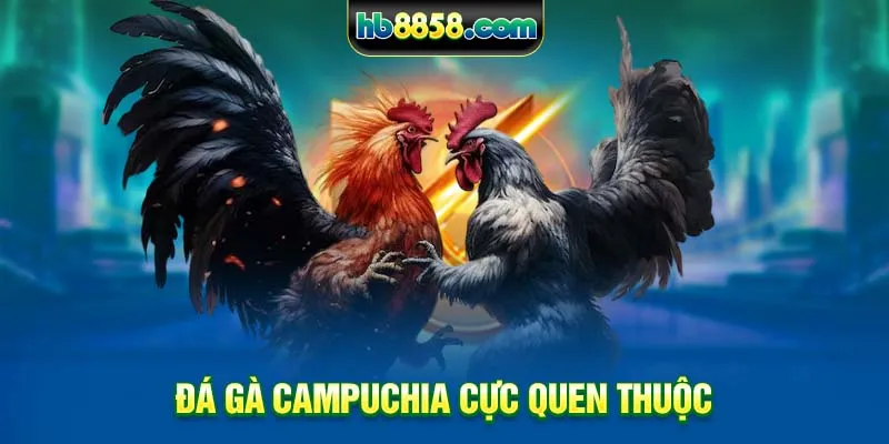 Đá gà Campuchia cực quen thuộc