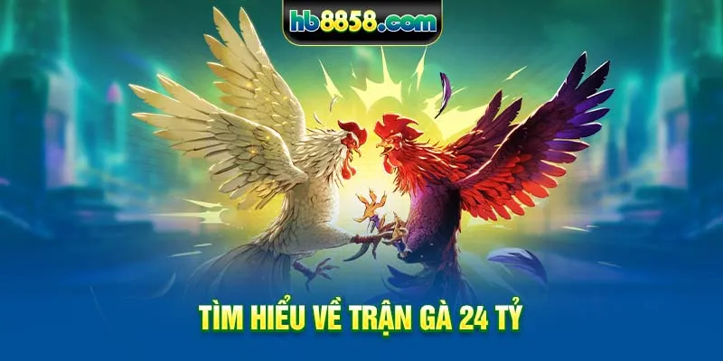 Tìm hiểu về trận gà 24 tỷ