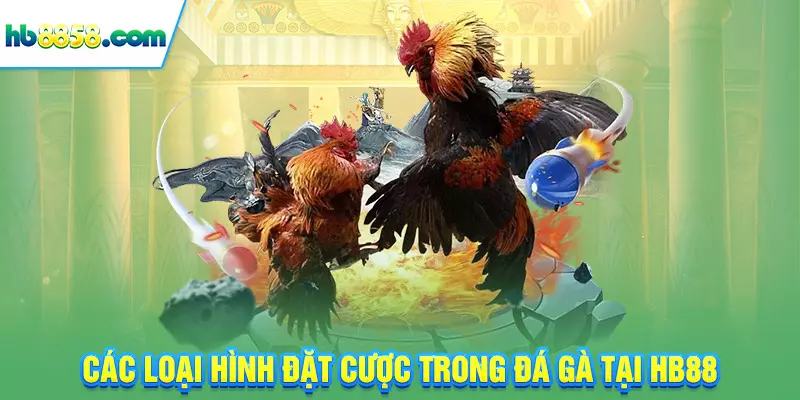 Các loại hình đặt cược trong đá gà tại HB88