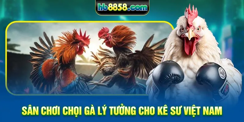 san-choi-choi-ga-ly-tuong-cho-ke-su-viet-nam